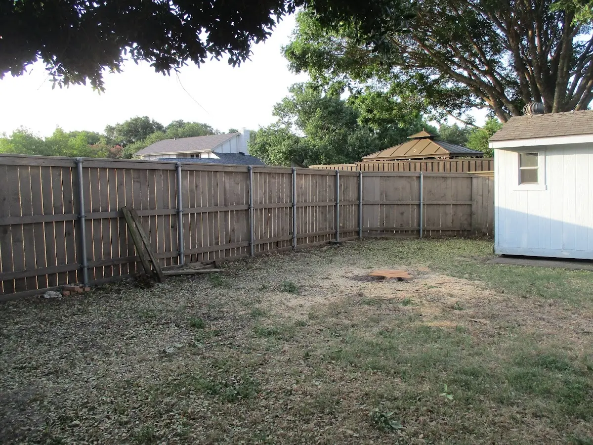 Cleared yard after professional tree removal in Marissa