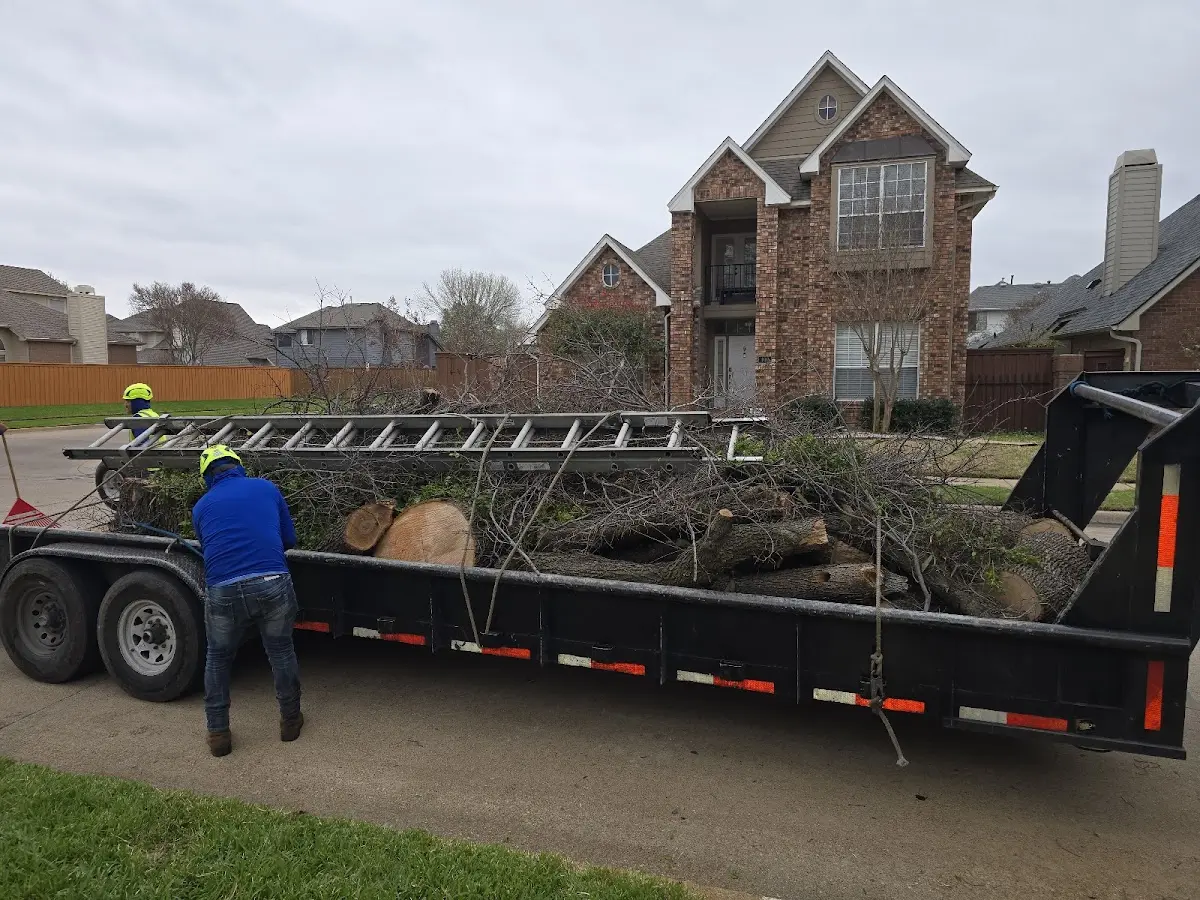 Expert Lot Clearing with proper safety equipment in Marissa
